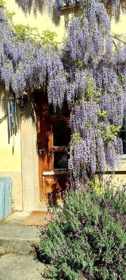 La Maison Des Tisserandes Montségur Dış mekan fotoğraf
